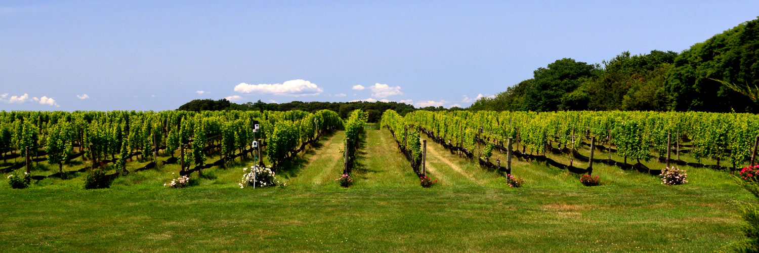 Banner image of Riverhead